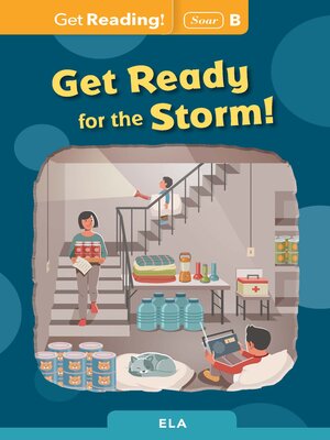 cover image of Get Ready for the Storm!